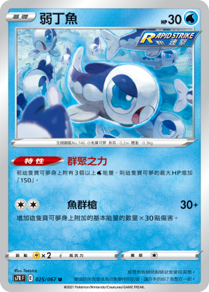 弱丁魚