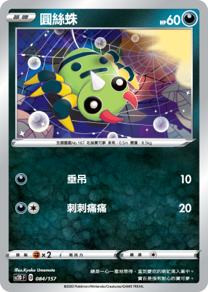 圓絲蛛