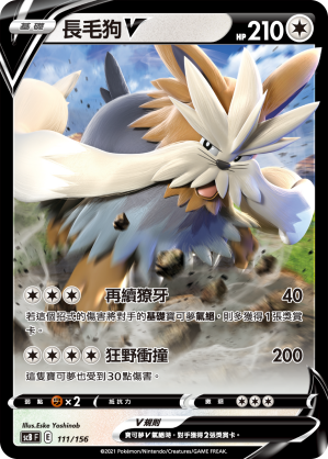 長毛狗V