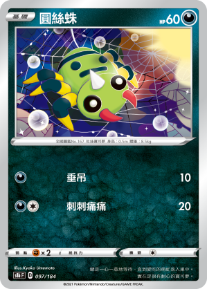 圓絲蛛
