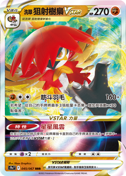 其他洗翠 狙射樹梟VSTAR