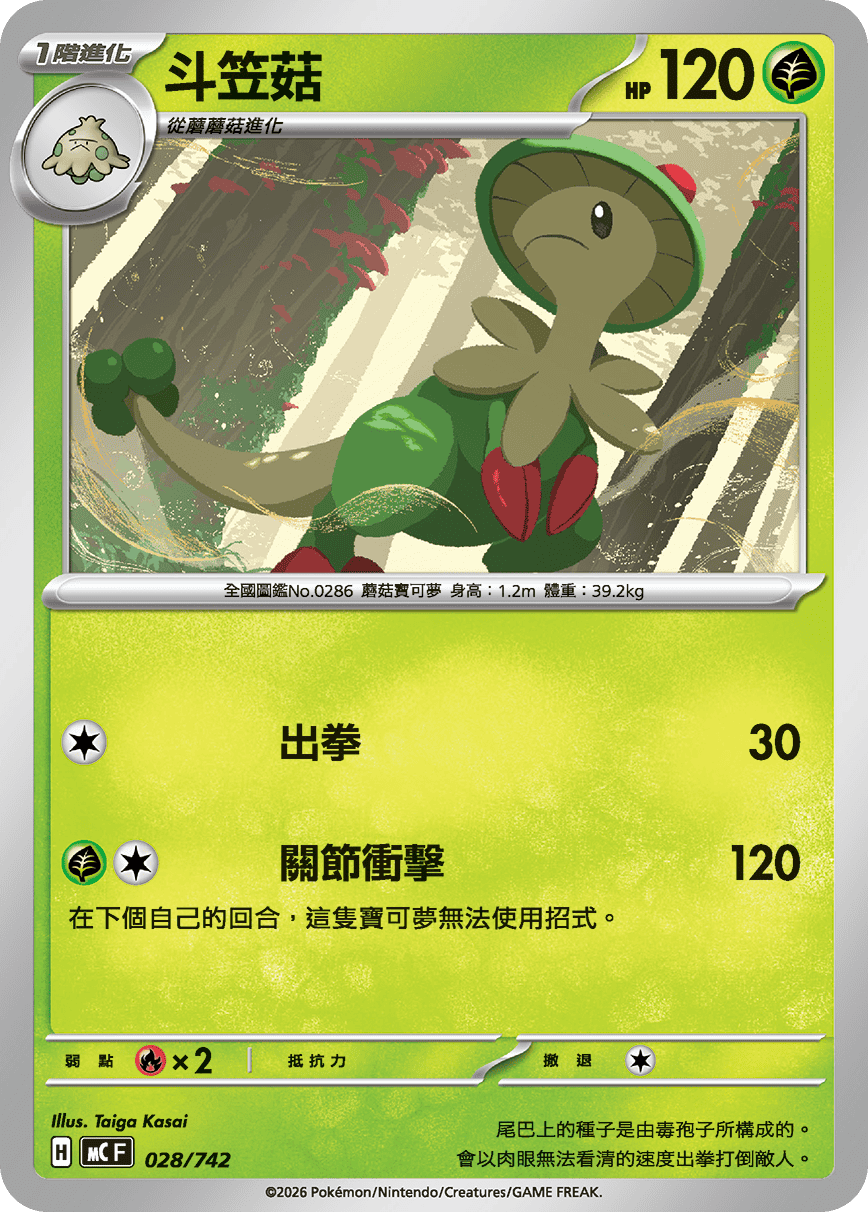 斗笠菇