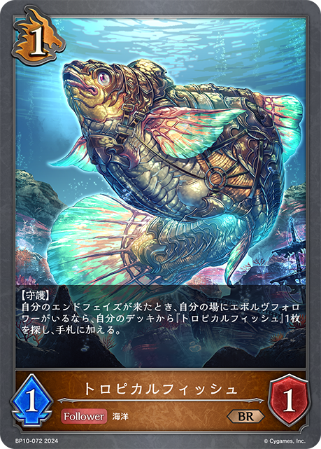 熱帶鎧魚