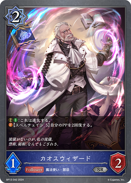 混沌巫術師