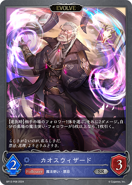 混沌巫術師