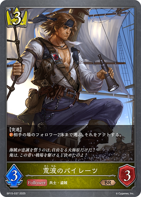 駭浪海盜