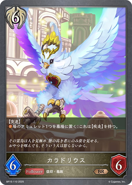 醫官鳥
