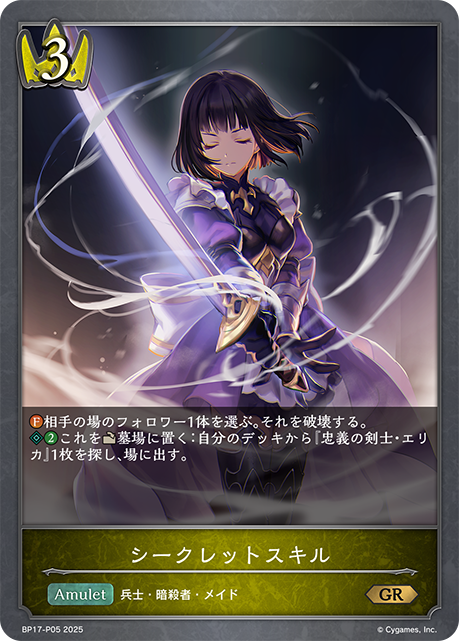 秘藏之技