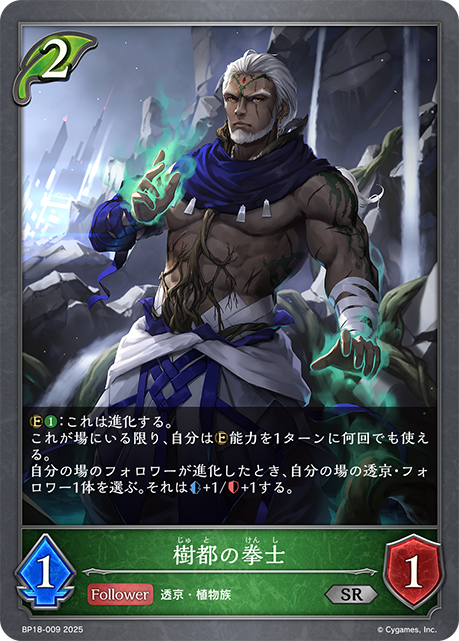 樹都的拳士