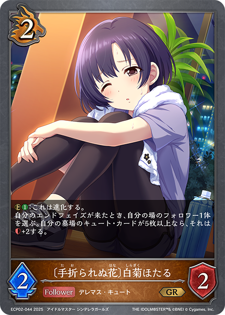 [摧折不了的花]白菊螢