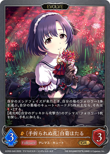 [摧折不了的花]白菊螢