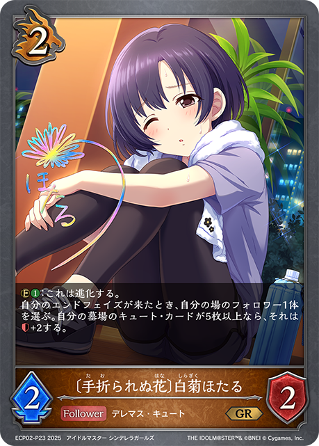 [摧折不了的花]白菊螢