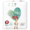 Pampers Harmonie Pants