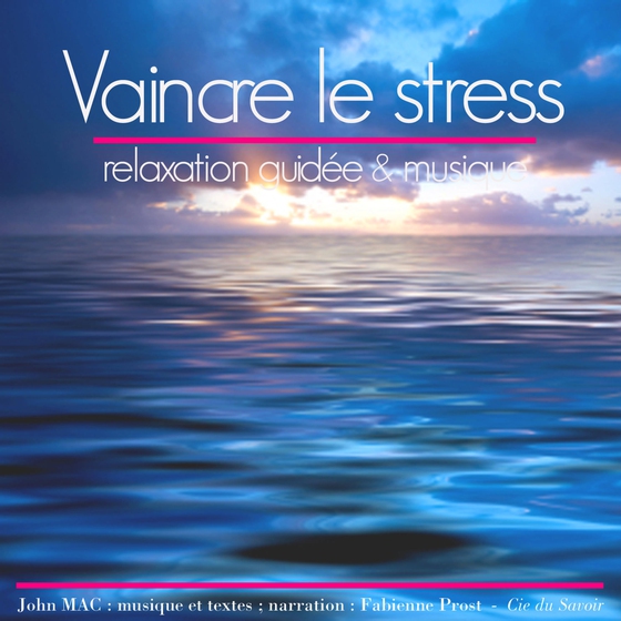 Vaincre le stress (lydbog) af John Mac