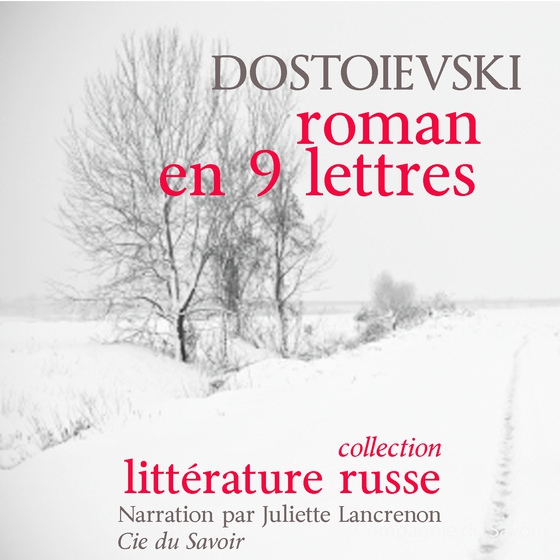 Un roman en neuf lettres