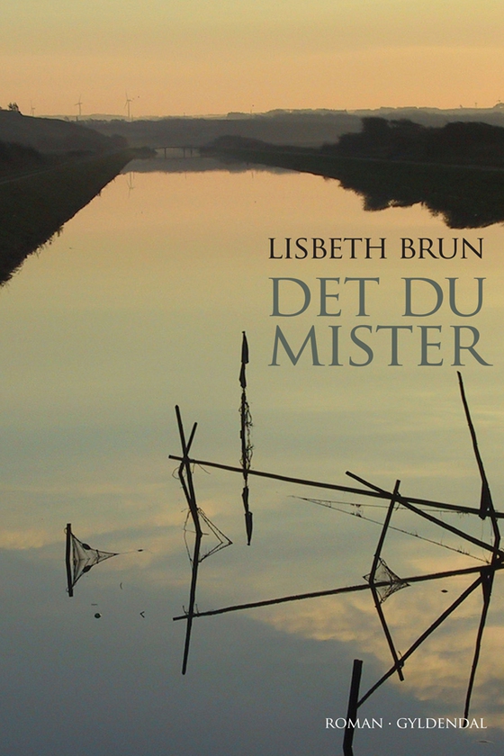 Det du mister (e-bog) af Lisbeth Brun