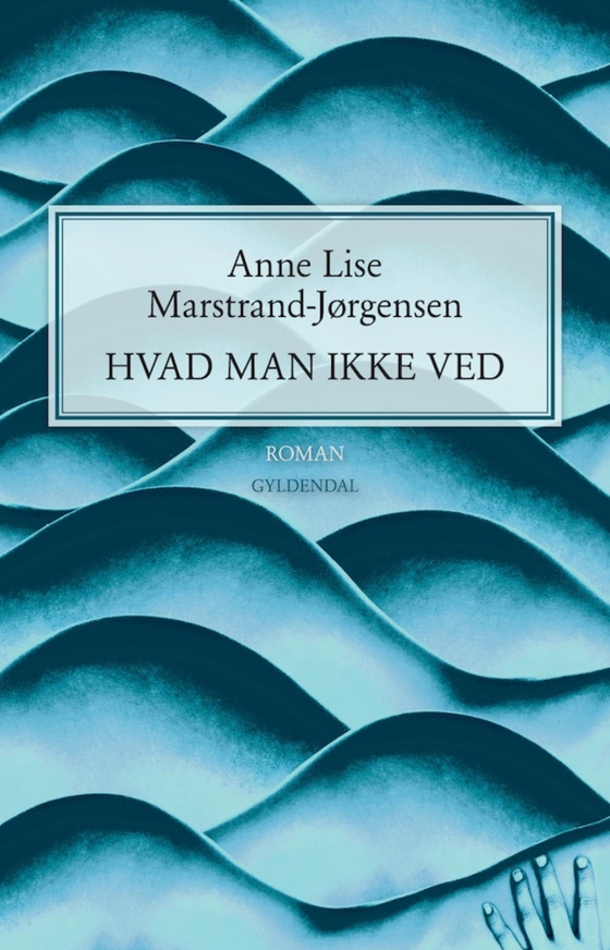 Hvad man ikke ved (e-bog) af Anne Lise Marstrand-Jørgensen
