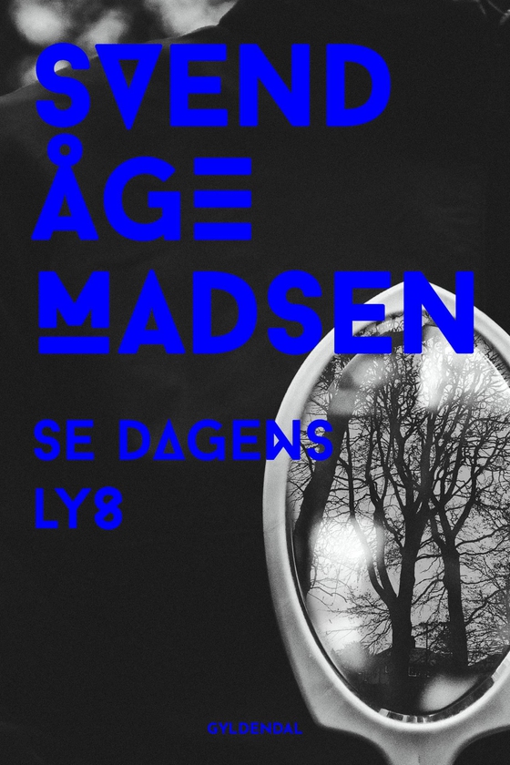 Se dagens lys (e-bog) af Svend Åge Madsen