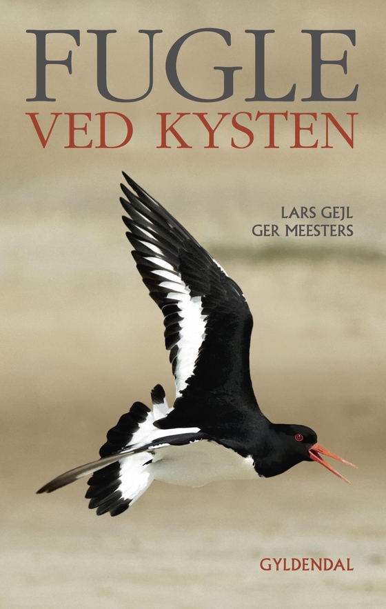 Fugle ved kysten (e-bog) af Lars Gejl
