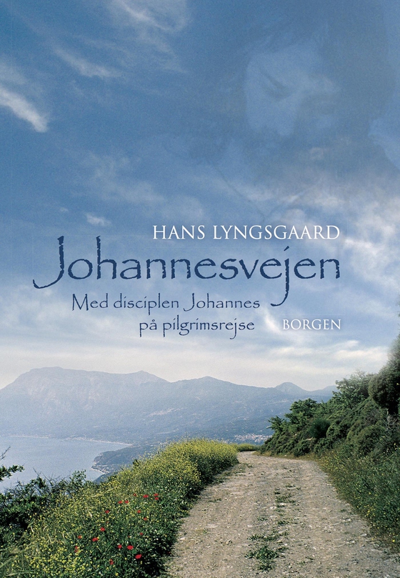 Johannesvejen - Med disciplen Johannes på pilgrimsrejse (e-bog) af Hans Lyngsgaard