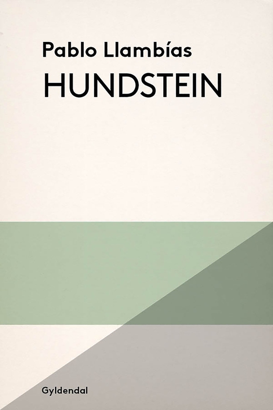 Hundstein (e-bog) af Pablo Llambías