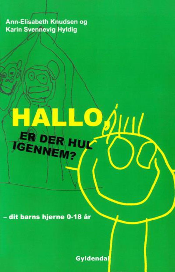 Hallo - er der hul igennem? - dit barns hjerne fra 0 til 18 år (lydbog) af Ann-Elisabeth Knudsen