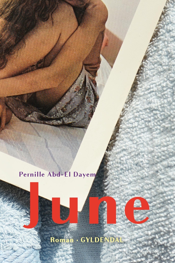 June (e-bog) af Pernille Abd-El Dayem