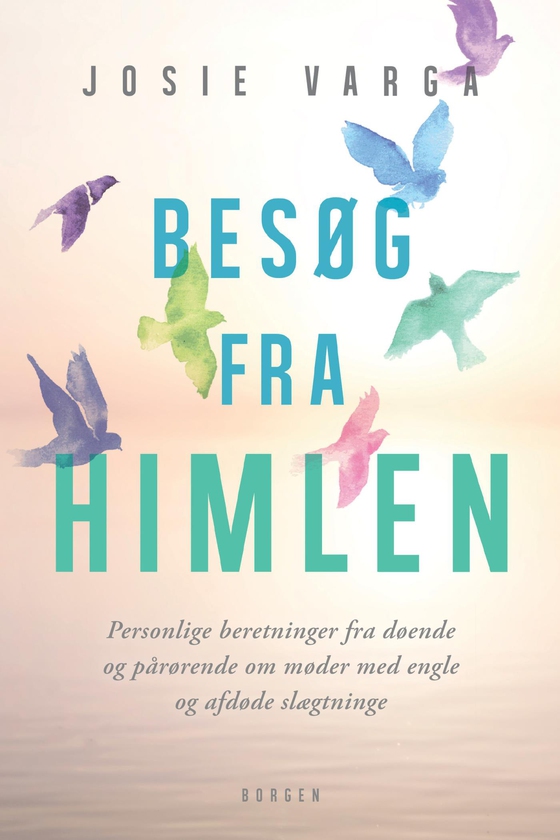 Besøg fra himlen