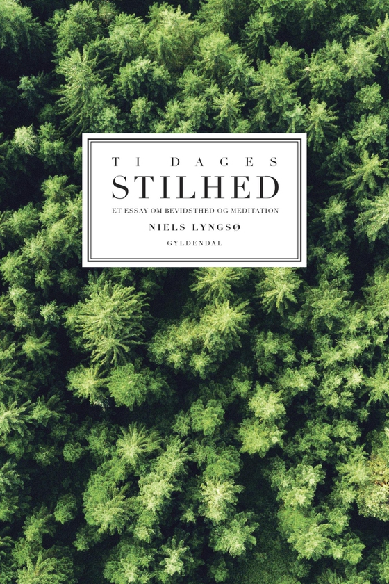 Ti dages stilhed - Et essay om meditation og bevidsthed (e-bog) af Niels Lyngsø
