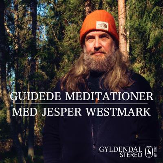 Guidede meditationer med Jesper Westmark