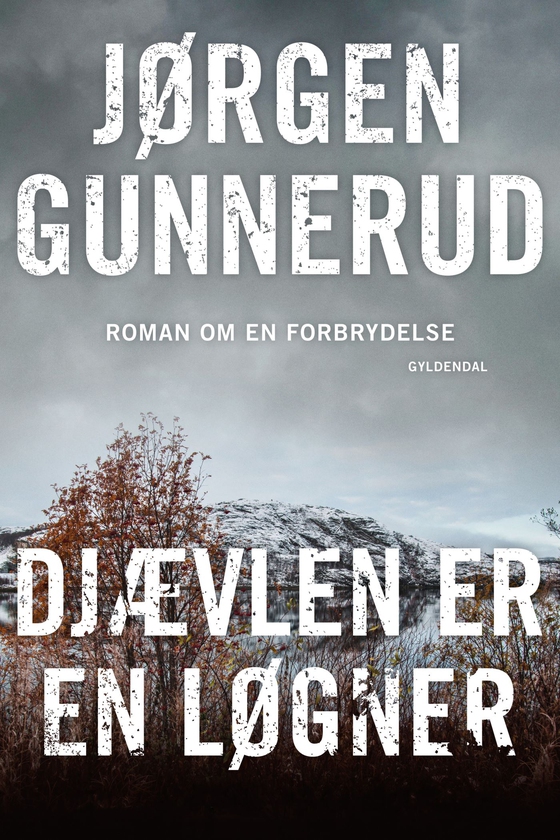 Djævlen er en løgner (e-bog) af Jørgen Gunnerud