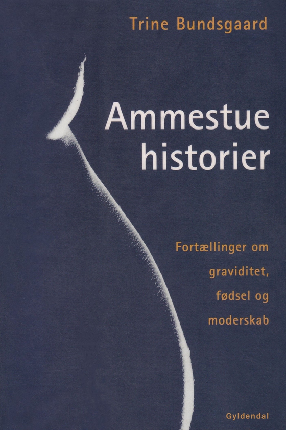 Ammestuehistorier