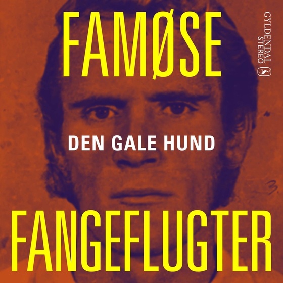 Den gale hund (lydbog) af Janne Aagaard