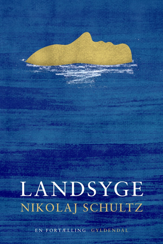 Landsyge