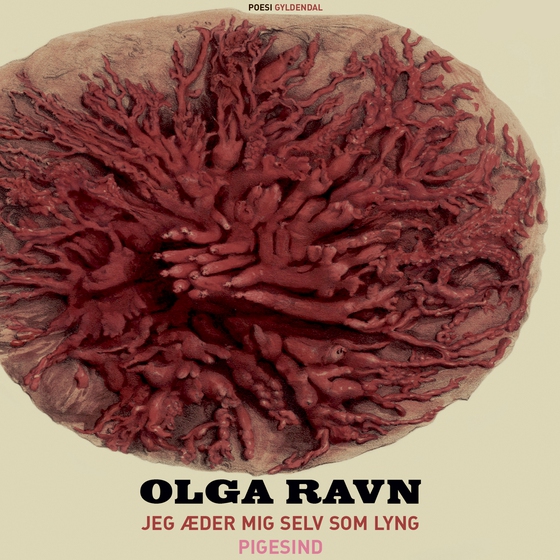 Jeg æder mig selv som lyng (lydbog) af Olga Ravn