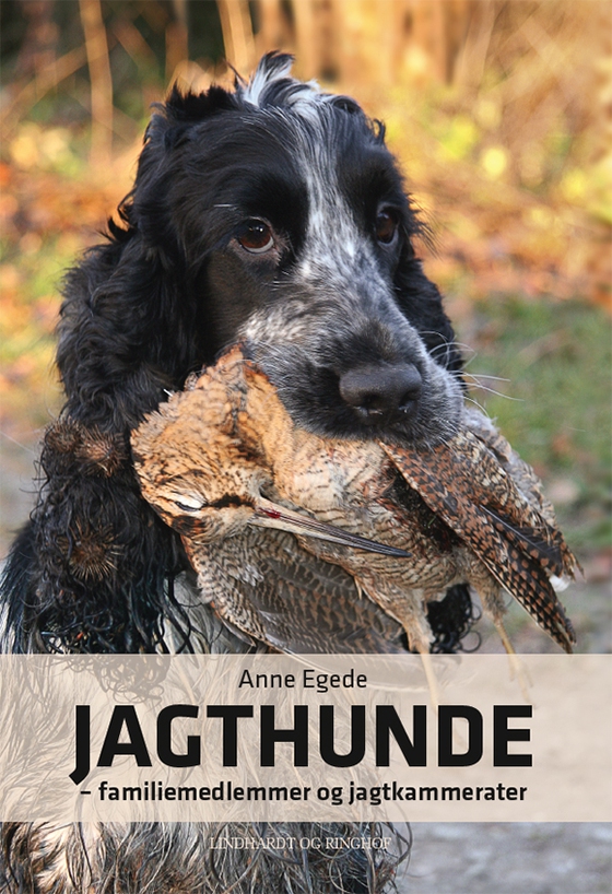 Jagthunde - familiemedlemmer og jagtkammerater (e-bog) af Anne Egede