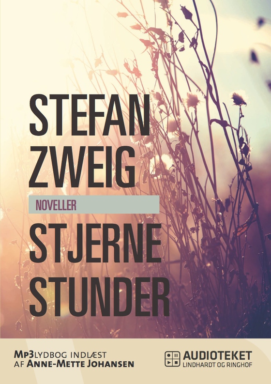 Stjernestunder (lydbog) af Stefan Zweig