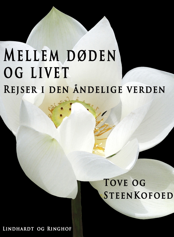 Mellem døden og livet (e-bog) af Steen Kofoed