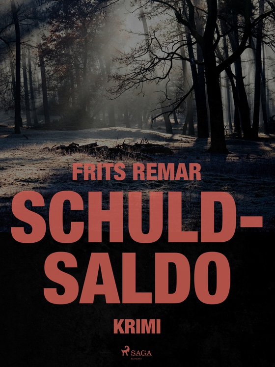 Schuldsaldo (e-bog) af Frits Remar