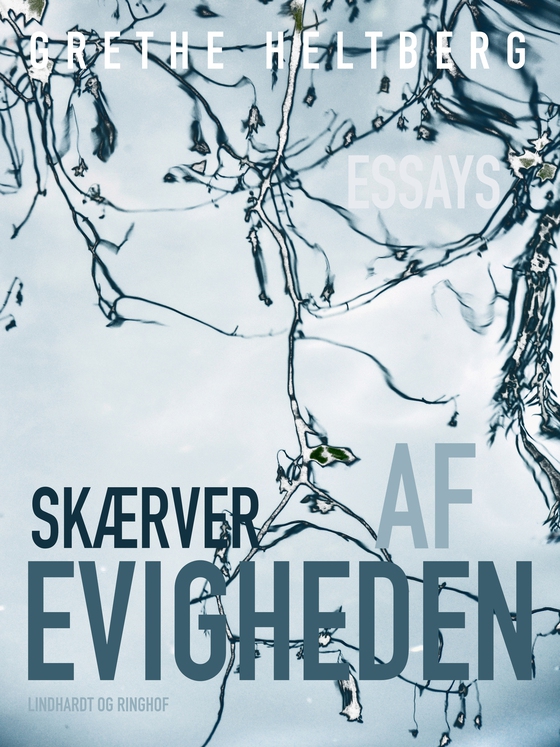 Skærver af evigheden