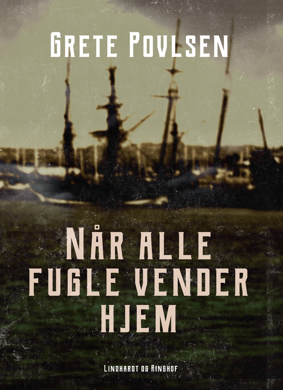 Når alle fugle vender hjem (e-bog) af Grete Povlsen