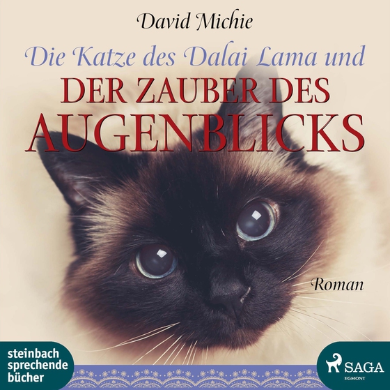 Die Katze des Dalai Lama und der Zauber des Augenblicks (lydbog) af David Michie