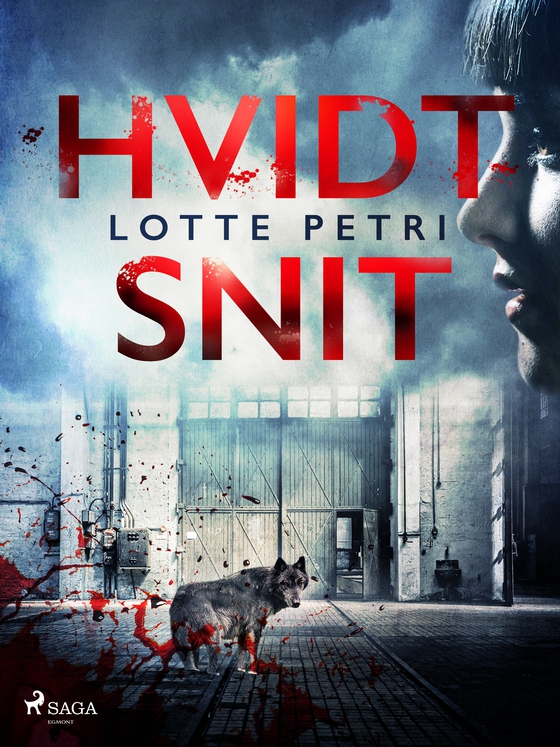 Hvidt snit (e-bog) af Lotte Petri