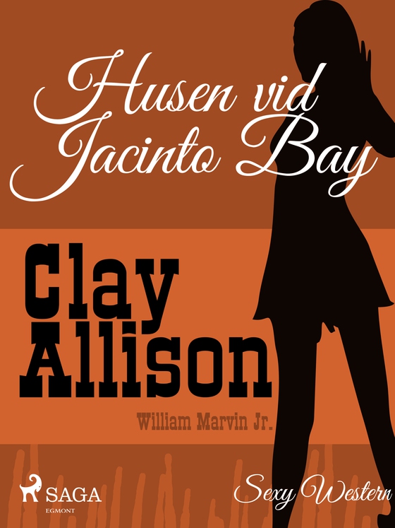 Husen vid Jacinto Bay (e-bog) af Clay Allison