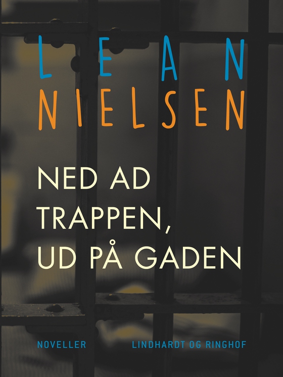 Ned ad trappen, ud på gaden (e-bog) af Lean Nielsen