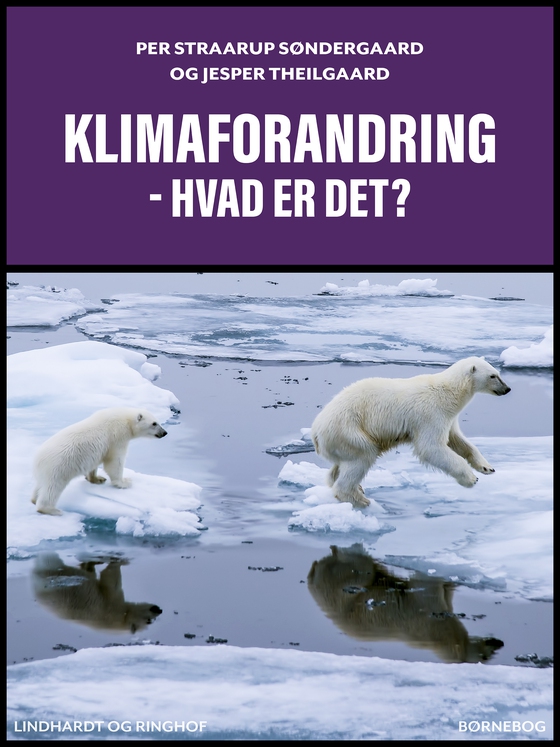 Klimaforandring – hvad er det? (e-bog) af Per Straarup Søndergaard