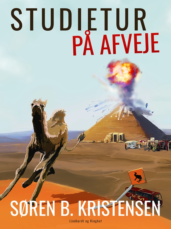 Studietur på afveje (e-bog) af Søren B. Kristensen