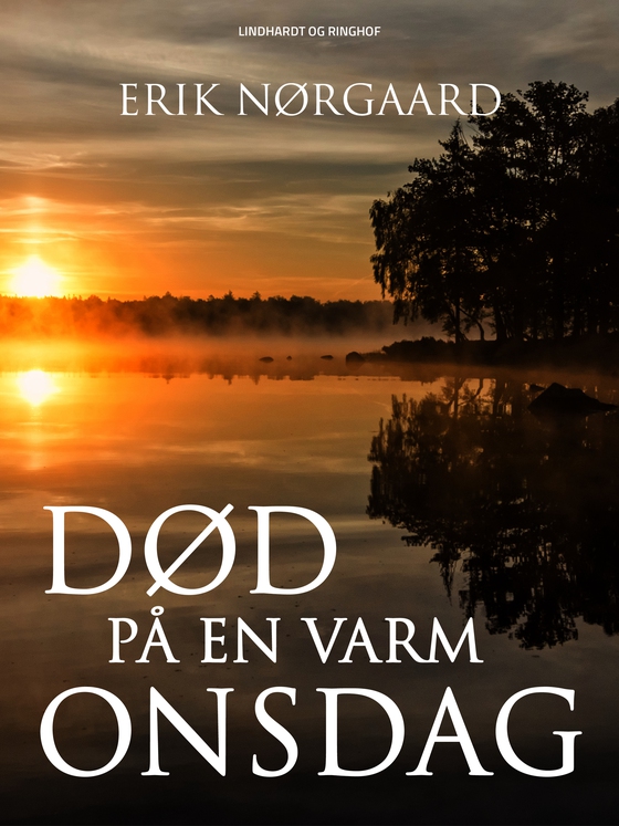 Død på en varm onsdag (e-bog) af Erik Nørgaard