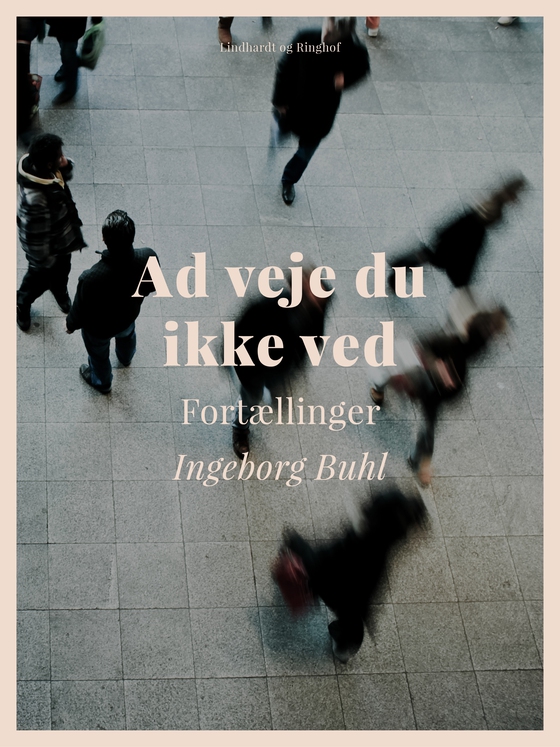 Ad veje du ikke ved (e-bog) af Ingeborg Buhl