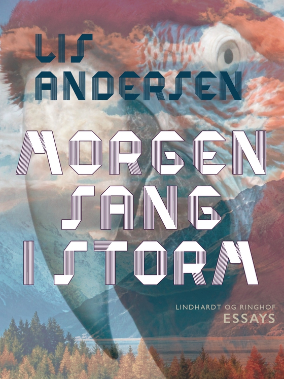 Morgensang i storm (e-bog) af Lis Andersen